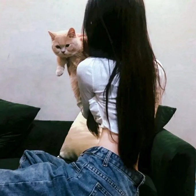花落莺啼春